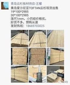 链接林海资源，守护行业初心——记精品木材销售信息的垂直服务平台